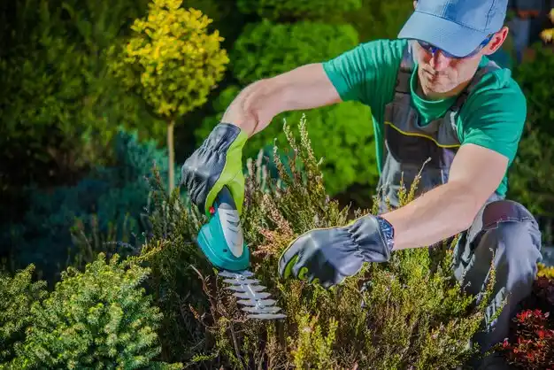 landscaping services Mount Blanchard
